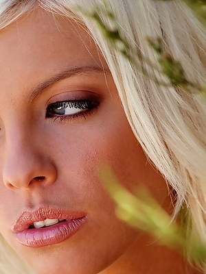 Digital Desire: Britney Amber Two